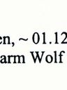 Record image of Grete Wagener (geb. Wolf)