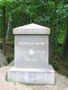 Record image of Sylvanus Robertson (Civil War-20th Maine) White