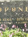 Record image of Hanna Xenia Koponen (born Hytönen)