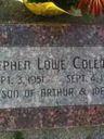 Record image of Stephen Lowe Coleman