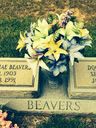 Record image of Dorothy Mae Beavers (born Watts)