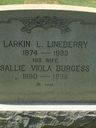 Record image of Viola Sallie Lineberry (born Burgess)