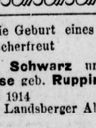 Record image of Henry Hermann Schwarz