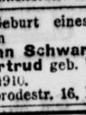 Record image of Manfred Schwarz