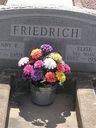 Record image of Maria Elisa Friedrich (born Wahl)
