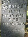 Record image of George Washington Thomasson (Thomoson)