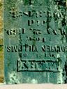 Record image of Mary Martha Williams (born Short)