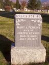 Record image of Mary Ann Howard / Burns (born Perkins)