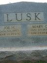 Record image of Mary Chester Lusk (born Rhea)
