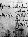 Record image of Katharina Mader (born Thaler)