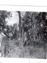 Record image of Henry Austin Shank