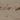 Record image of Francisco de Jesus Fernandez Diaz