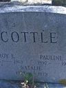 Record image of Roy Eldrige Cottle