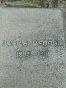 Record image of Sarah Ann McCook