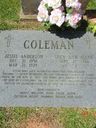 Record image of Lucy Ann Coleman (born Allen)
