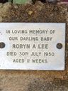 Record image of Robin Ann Lee