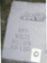 Record image of Ann Dodd Lee (nacida White)
