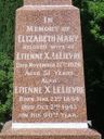 Record image of Mary Isabella Dominica Vangioni Kearney (born Vangioni)