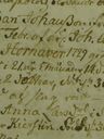 Record image of Johan Friederich Dominicussen Brandt