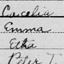 Record image of Emma Carolina Bebensee (geb. Engel)