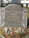Record image of Helge Johannes Hallen