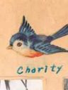 Record image of Charity Cope