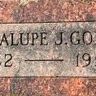Record image of JOSE GUADALUPE GOMEZ GUTIERREZ