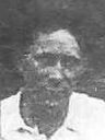 Record image of Wilford Knute Peterson