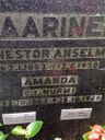 Record image of Nestor Anselm Saarinen