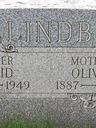 Record image of David Adolf Lindberg