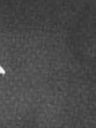Record image of Nahum Lincoln Blackman