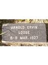 Record image of Arnold Ervin Loose