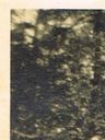 Record image of Jørgen Adolf Dyssel Engel