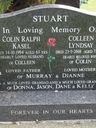 Record image of Colleen Lyndsay STUART (born FELL)
