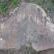 Record image of Susannah Cole (born Salisbury)