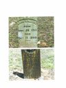 Record image of John Richard Maddox