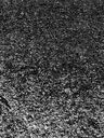 Record image of Maria Jane Wheelock (born Cooper)