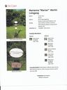 Record image of Marianne Leingang (geb. Martin)