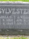 Record image of William James Sylvester