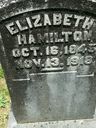 Record image of Sarah Ann Elizabeth Hamilton (born Tunnell)