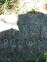 Record image of Willis Harvey Brown