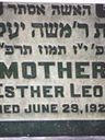 Record image of Esther Leon (born Theibitz)