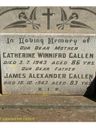 Record image of James Alexander Gallen