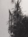 Record image of Marta Sofie Frederikke Hansen (born Månsson)