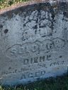Record image of Solomon “Swamp Sol” Diehl