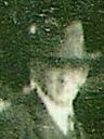 Record image of Samuel Wesley Coleman