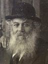 Record image of יהודה וולפוביץ