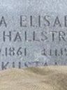 Record image of Anna Elisabet Bergius (born af Hällström)