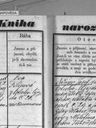Record image of Marie Frdlíková (born Němcová)