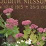 Record image of Judit Elvira Nilsson (born Fransson)
